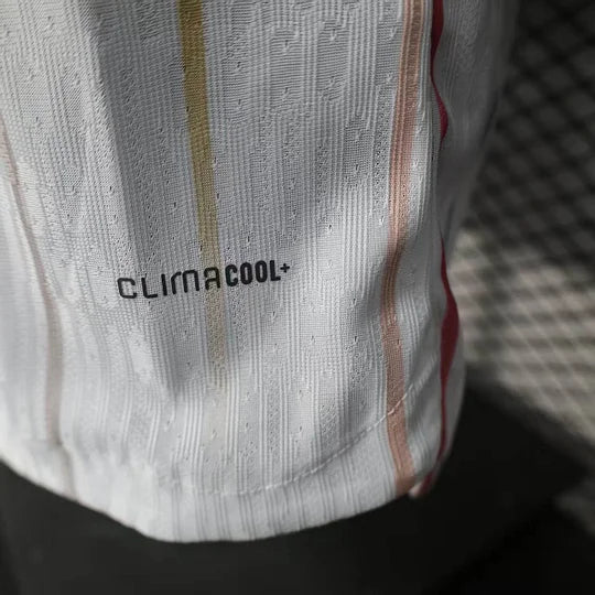 Authentic Japan away jersey 2026