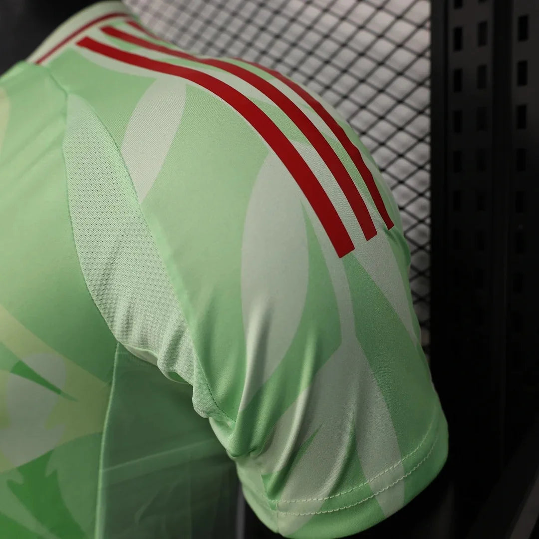 Authentic Italy Training Jersey 2025