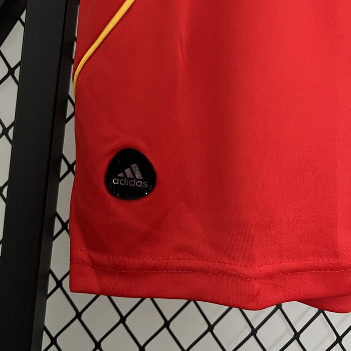 Retro Spain Home Jersey 2008