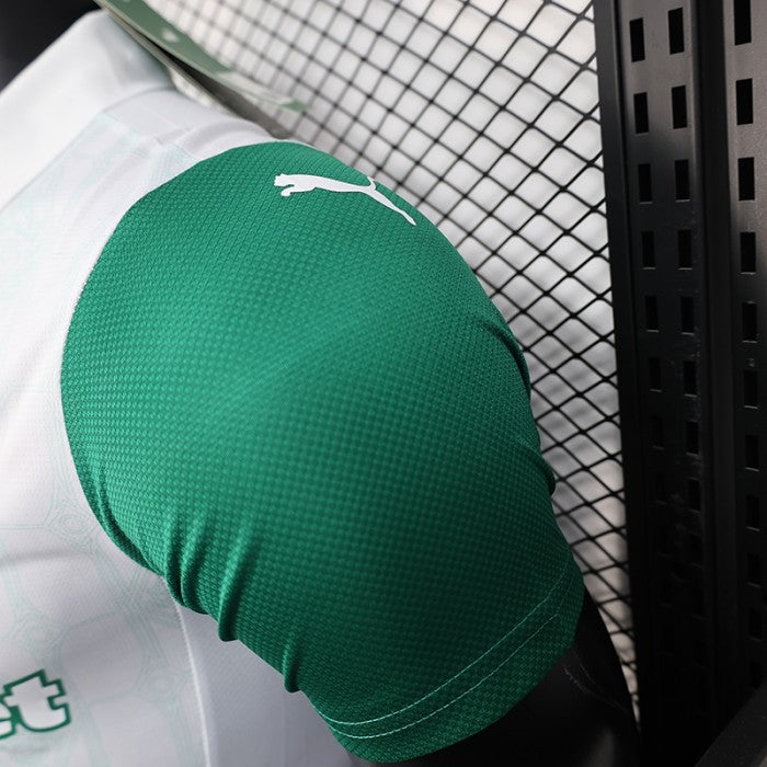 Authentic Palmeiras Away Jersey 25/26