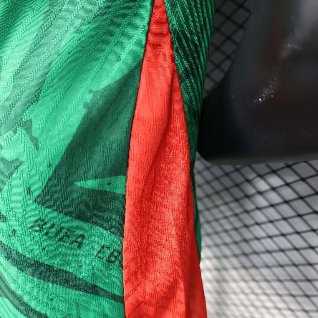 Authentic Cameroon Home Jersey 2025