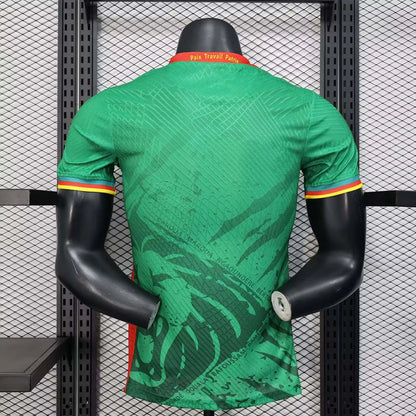 Authentic Cameroon Home Jersey 2025