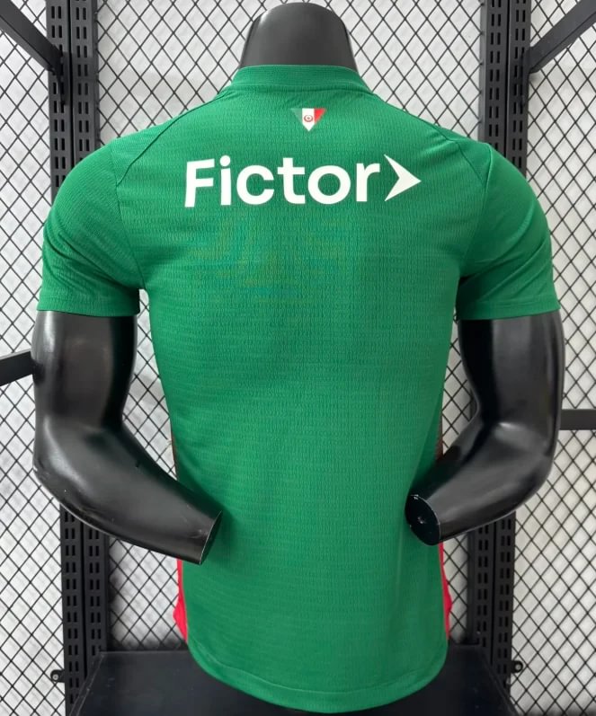 Authentic Palmeiras Home Jersey 26/27