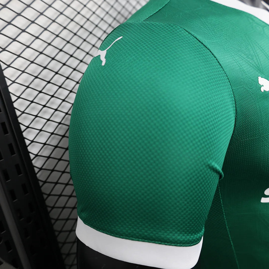 Authentic Palmeiras Home Jersey 25/26