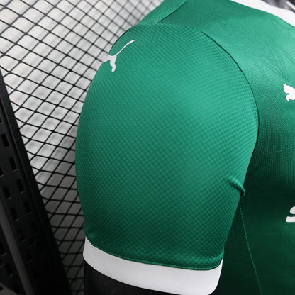 Authentic Palmeiras Home Jersey 25/26