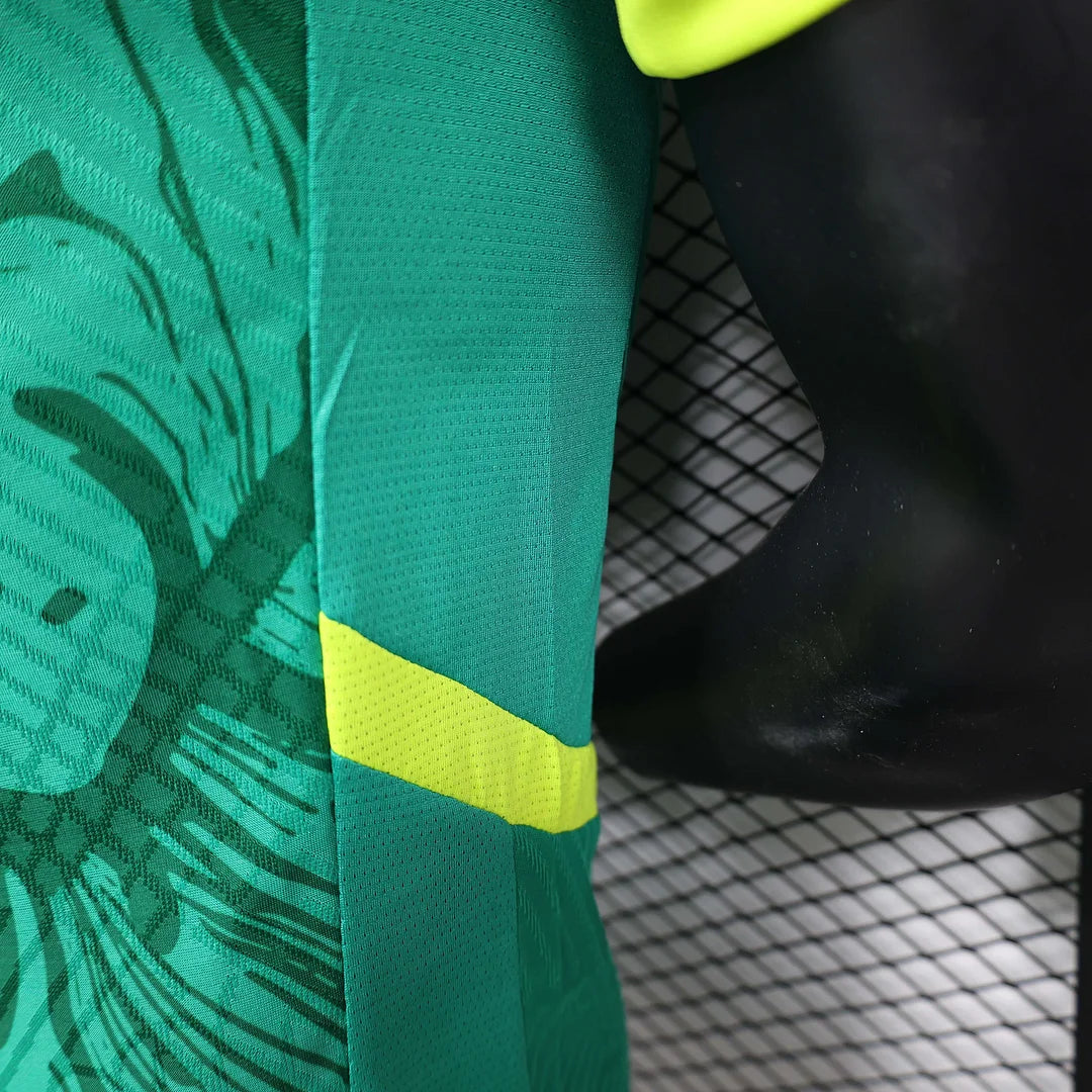 Authentic Senegal Away Jersey 24/25