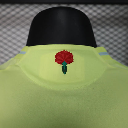 Authentic Spain Away Jersey 2024