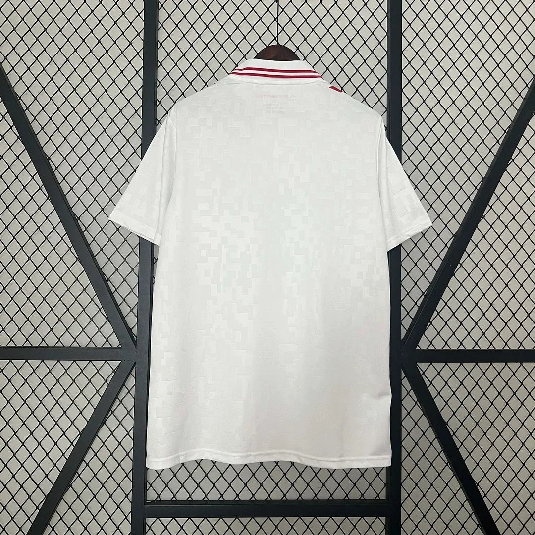 Denmark Away Jersey Fans Edition 2024