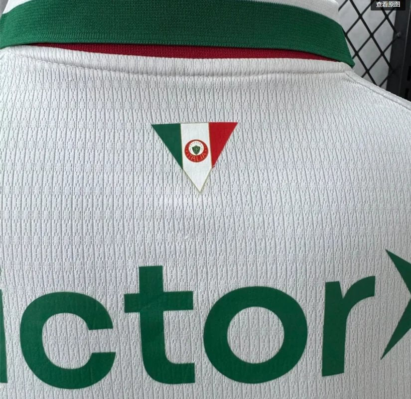 Authentic Palmeiras Away Jersey 26/27