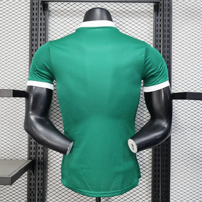 Authentic Palmeiras Home Jersey 25/26