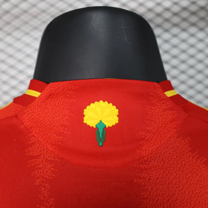 Authentic Spain Home Jersey 2024