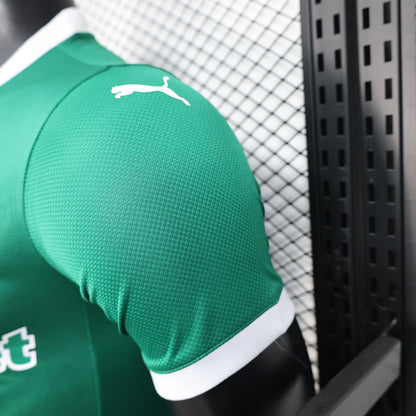 Authentic Palmeiras Home Jersey 25/26