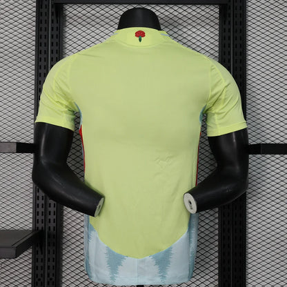 Authentic Spain Away Jersey 2024